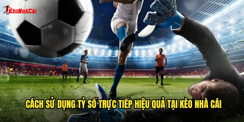 Cách sử dụng tỷ số trực tiếp hiệu quả tại kèo nhà cái