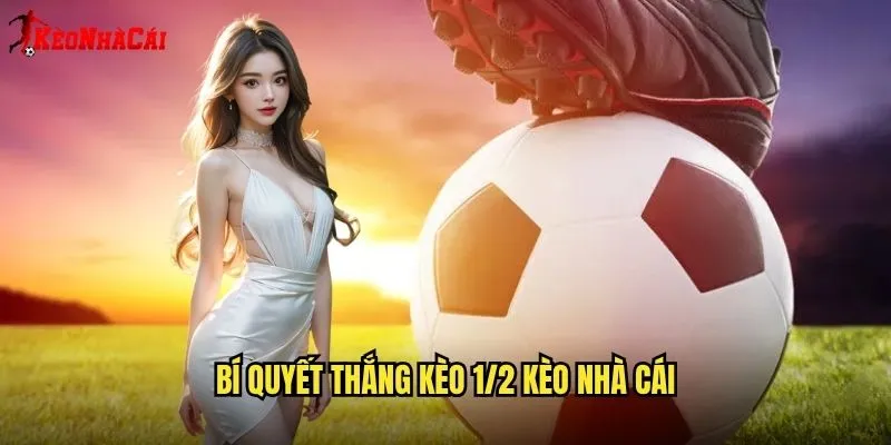 Bí Quyết Thắng Kèo 1/2 Kèo Nhà Cái