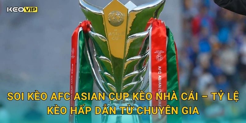 Soi kèo AFC Asian Cup Kèo nhà cái – Tỷ lệ kèo hấp dẫn từ chuyên gia