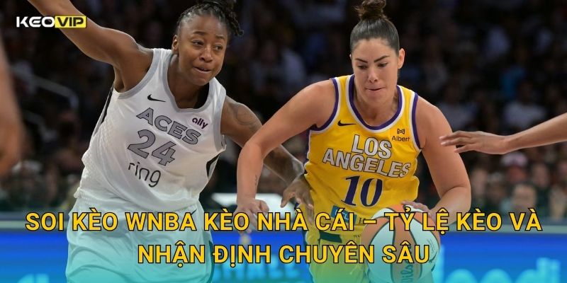 Soi kèo WNBA Kèo nhà cái – Tỷ lệ kèo và nhận định chuyên sâu