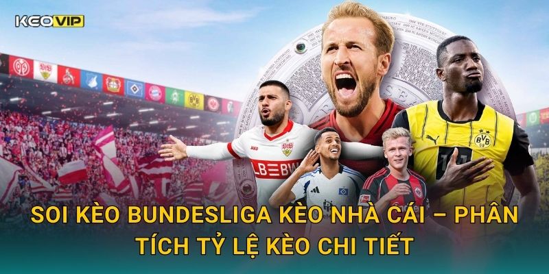 Soi kèo Bundesliga Kèo nhà cái – Phân tích tỷ lệ kèo chi tiết